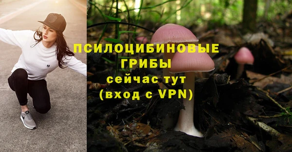 бутират Алексеевка
