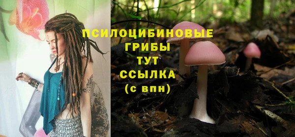 трава Алзамай